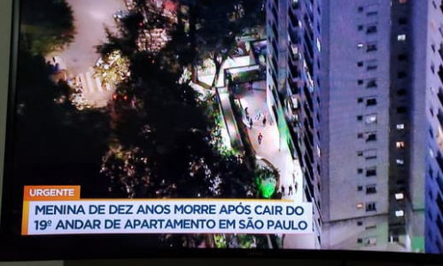 O que acontece com uma FORMIGA CAINDO DE UM PRÉDIO? 🐜 Não precisa se